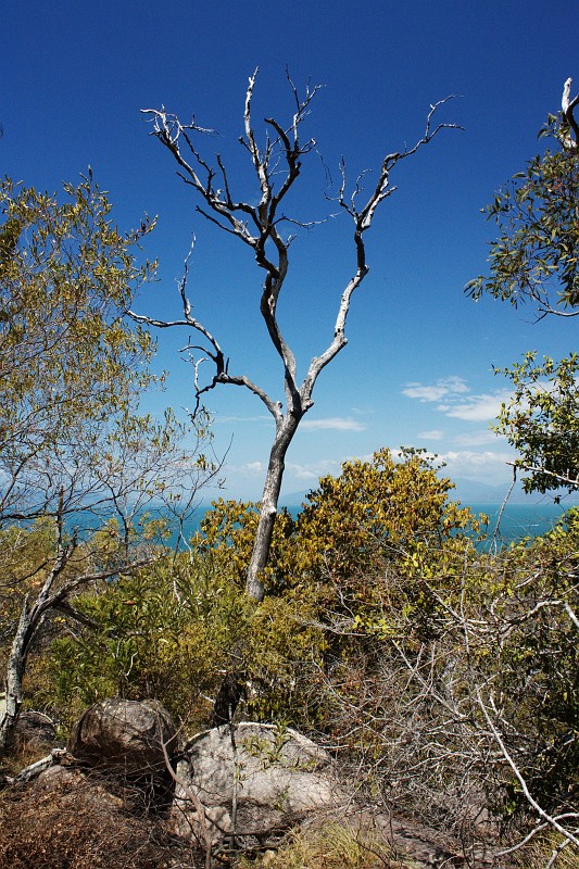 2009-11-06 22-02-37_3.jpg - Magnetic Island